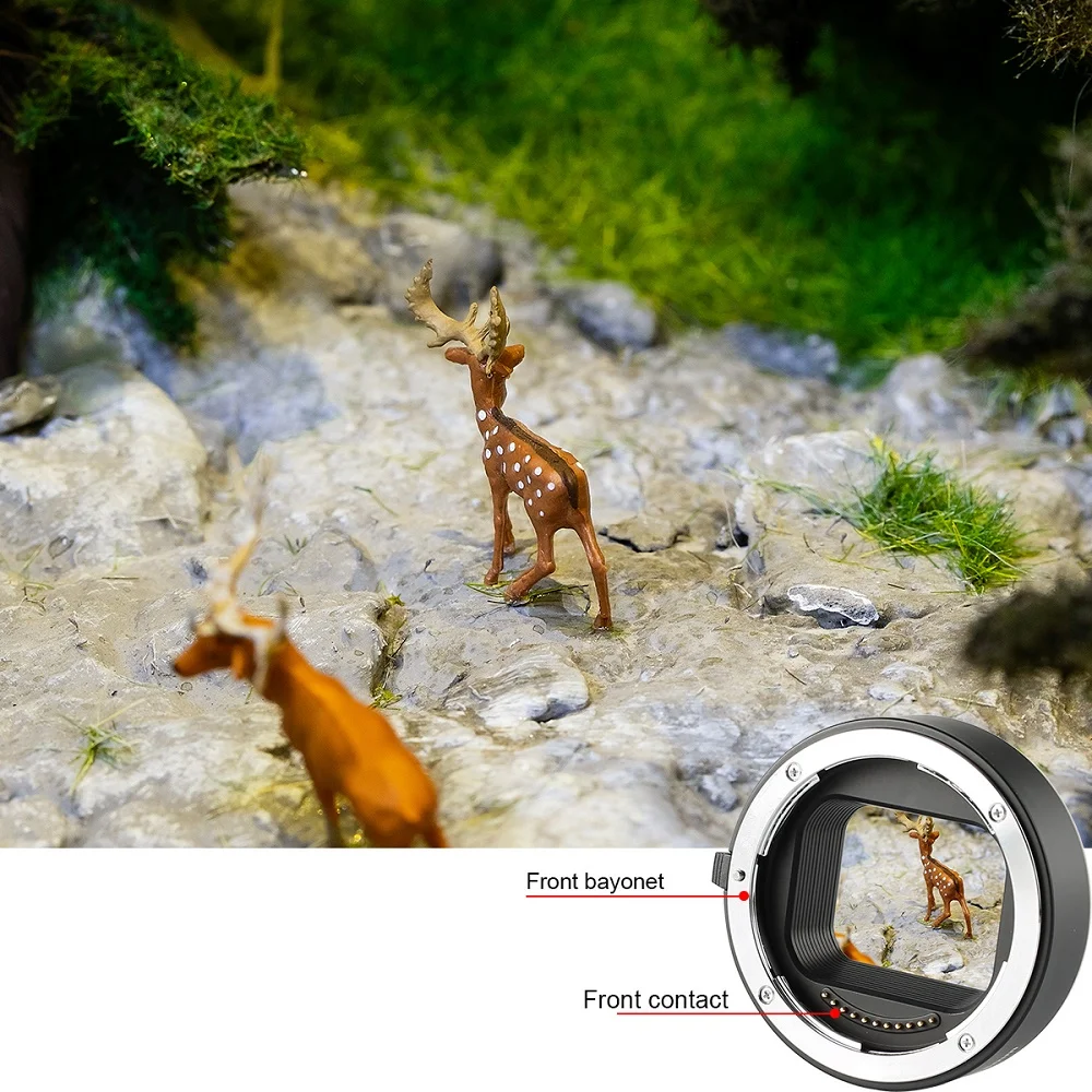 VERDEJULIAY Runway Fashion Women Men Plus Size T