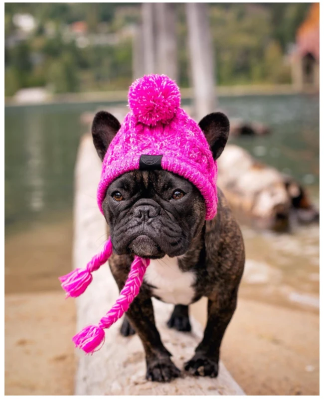 Superpet inverno quente cão chapéus à prova