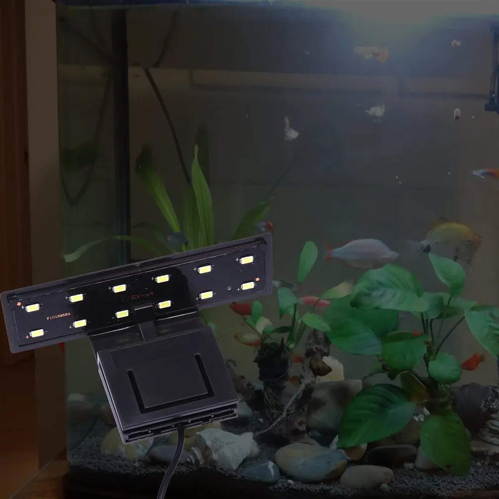     ܵ , 12 LED Ŭ  Ŭ ,    6W 220V EU ÷