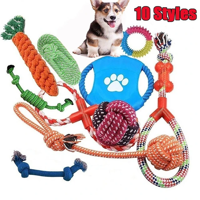 Top Dog Training Equipment for 2021