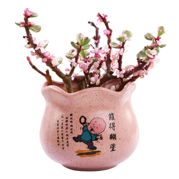 

Cute Ceramic Succulent Pots with a Drainage Hole for Home and Office Decoration Best Price