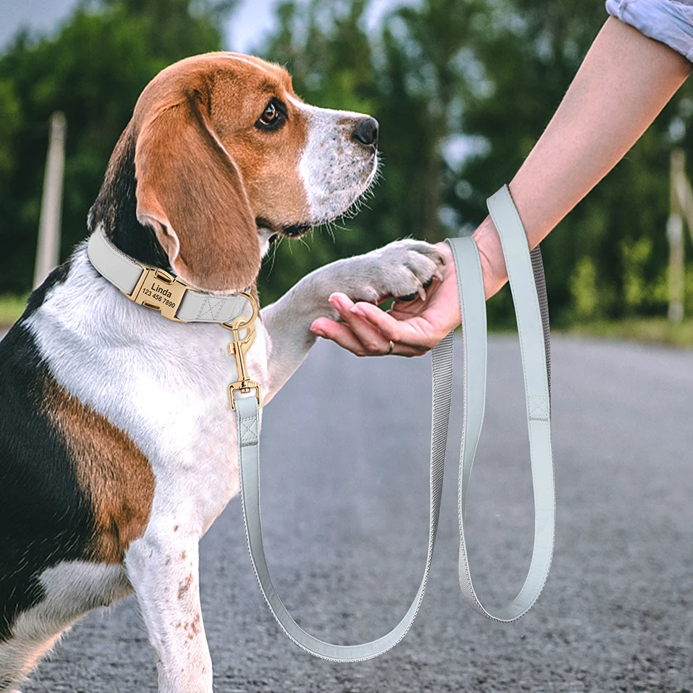 Dior - Leather PU Dog Collar - Blue