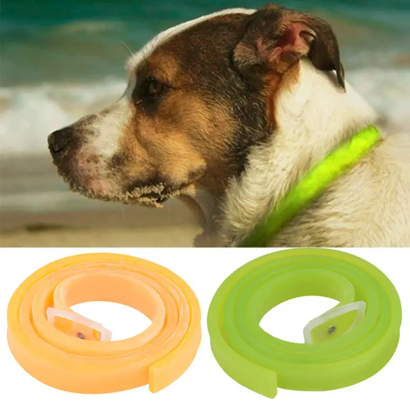 Ошейник с защитой от клещей для собак и кошек