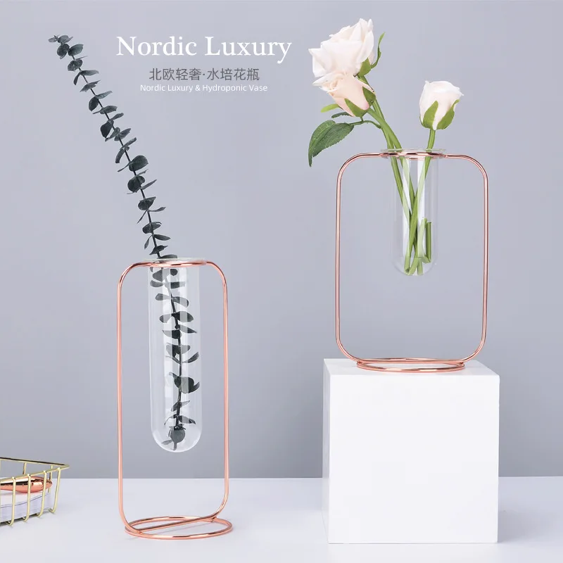 

Light Luxury round-Bottom Iron Art Vase Decoration Northern Europe INS Rose Gold Transparent Glass Tube Grow in Water Dried Flow