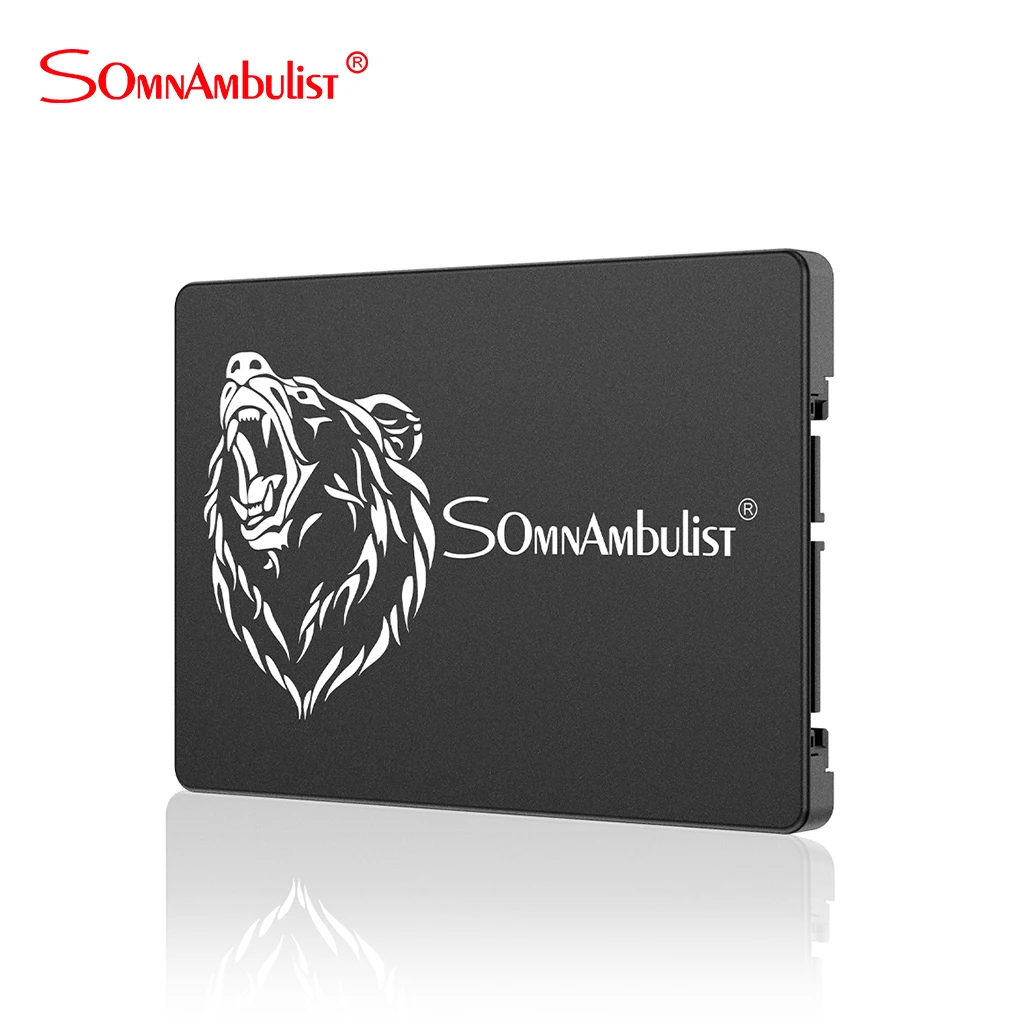 Твердотельный накопитель SOMNAMBULIST 120 дюйма жесткий диск SSD для ноутбука и ПК 240 ГБ 128