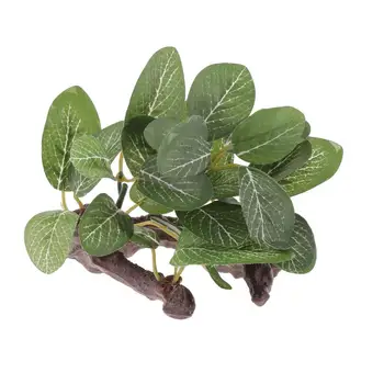 

Terrarium Plants For Bearded Dragons,Lizards,Geckos,Snake Reptile Habitat