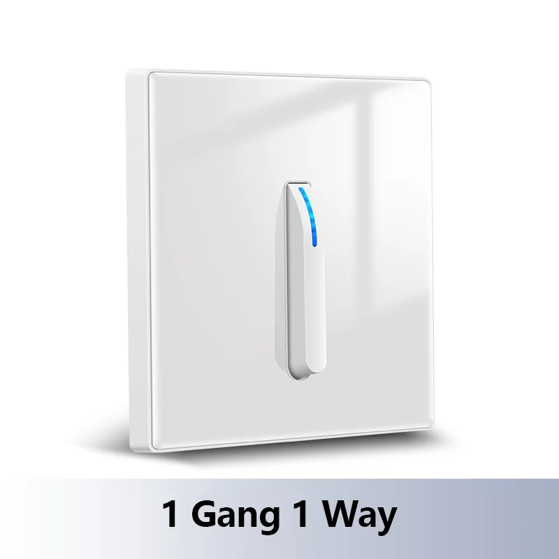 1 Gang 1 Way