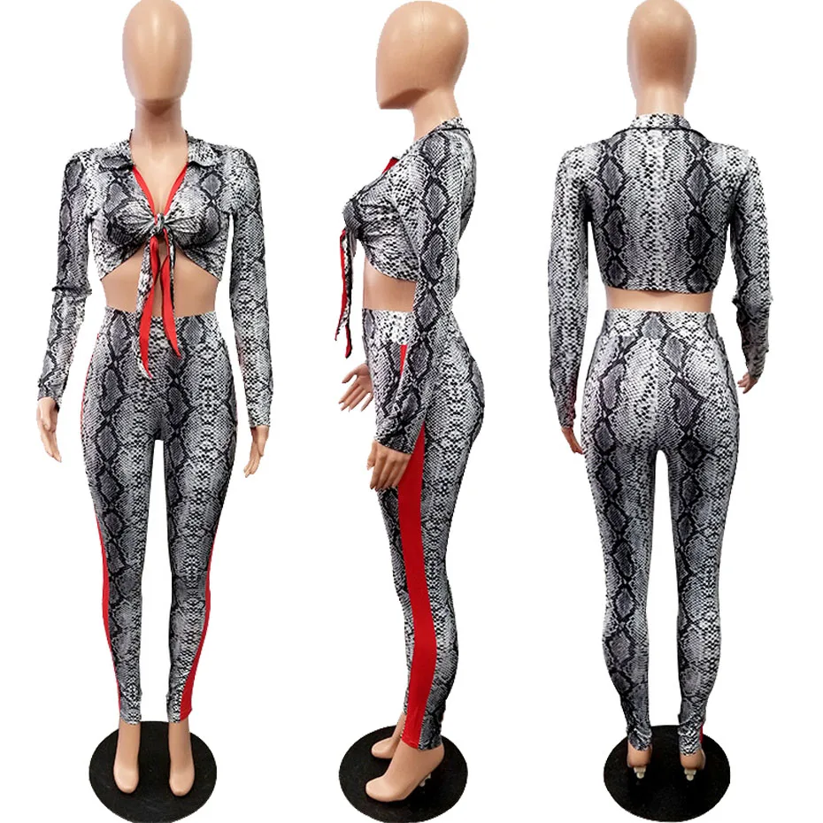 HAOYUAN, Леопардовый змеиный принт, комплект из двух предметов, женская осенняя одежда, сексуальные Клубные наряды, короткий топ с длинным рукавом, штаны, комплект из 2 предметов