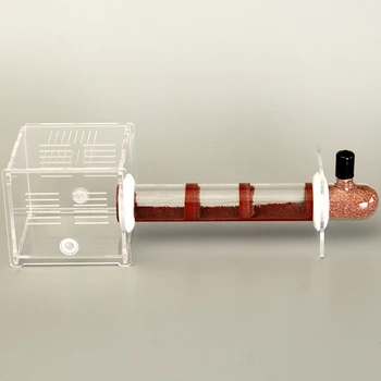 

1PCS Concrete Colorful Bamboo Tube Nest Castle Mania Not Afraid of Eating Not Moldy Ants Farm House Ant Nest
