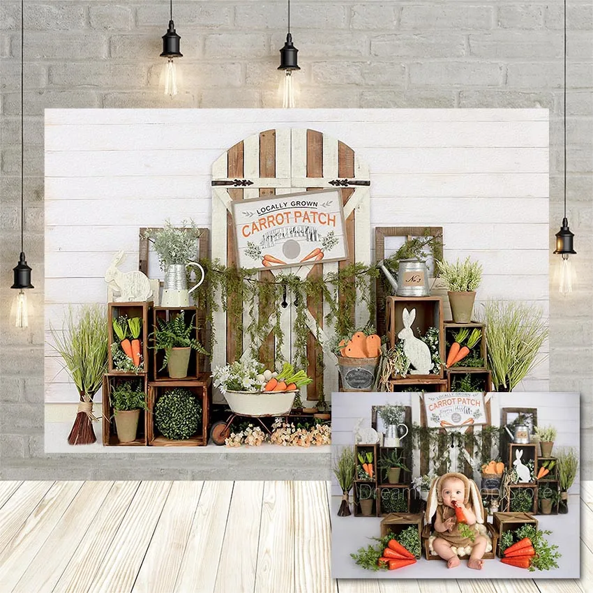 

Avezano Spring Easter Photography Background Carrot Green Plants Wood Door Baby Shower Backdrop Photo Studio Photophone Decor