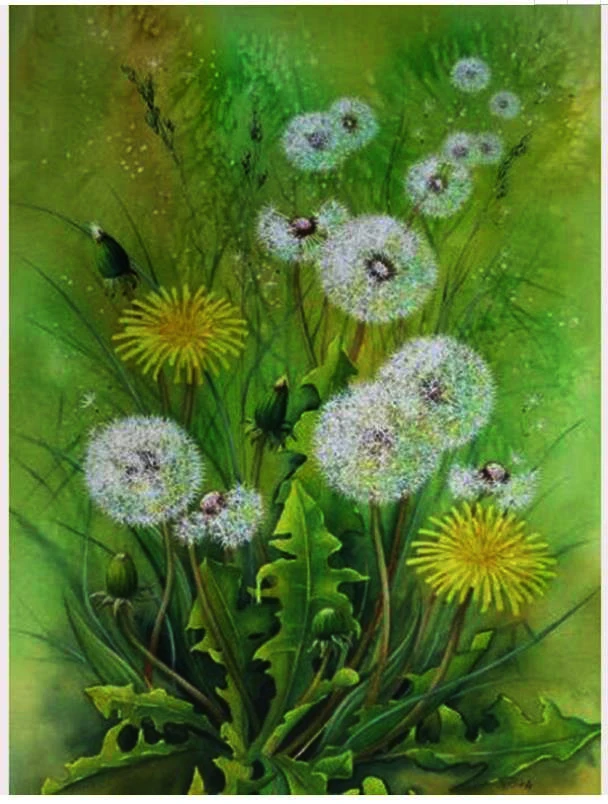 Diy Алмазная мозаика Одуванчик цветы искусство стразы вышивка рисунок пазл