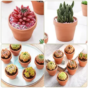 

10Pcs Small Mini Terracotta Pot Clay Ceramic Pottery Planter Cactus Flower Pots Succulent Nursery Pots