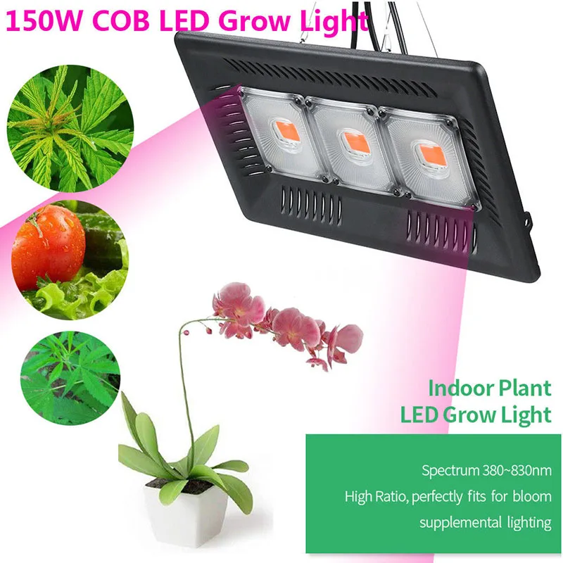 

Full Spectrum LED Grow Light Waterproof IP67 150W Growth Flood Light LED Grow Lamp for Plant Indoor Hydroponic Greenhouse