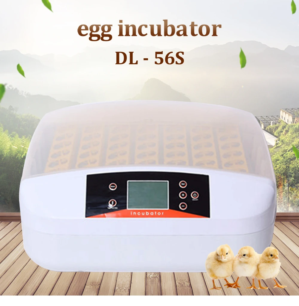 

NEW 56 Egg Incubator Hatcher Eggs Brooder Temperature Automatic Egg Turning Hatching Hatchery Poultry Chicken Duck Quail Bird
