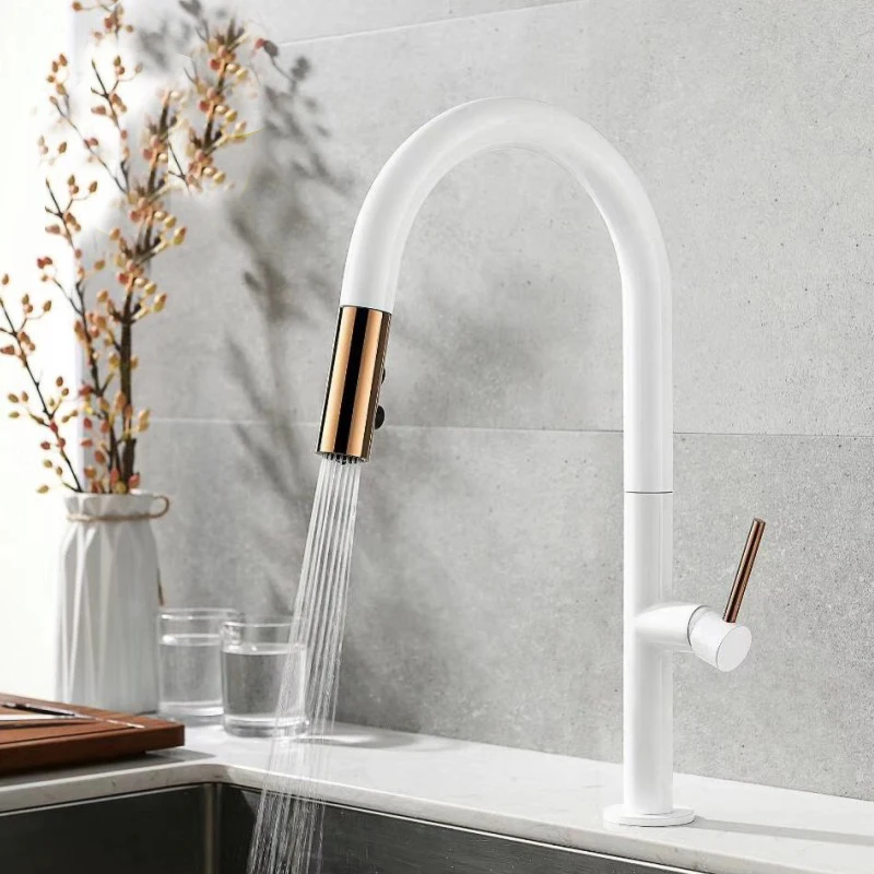 Hongdec Single Handle tap High Arc Spout Pull Out Kitchen Sink Faucet Black and White