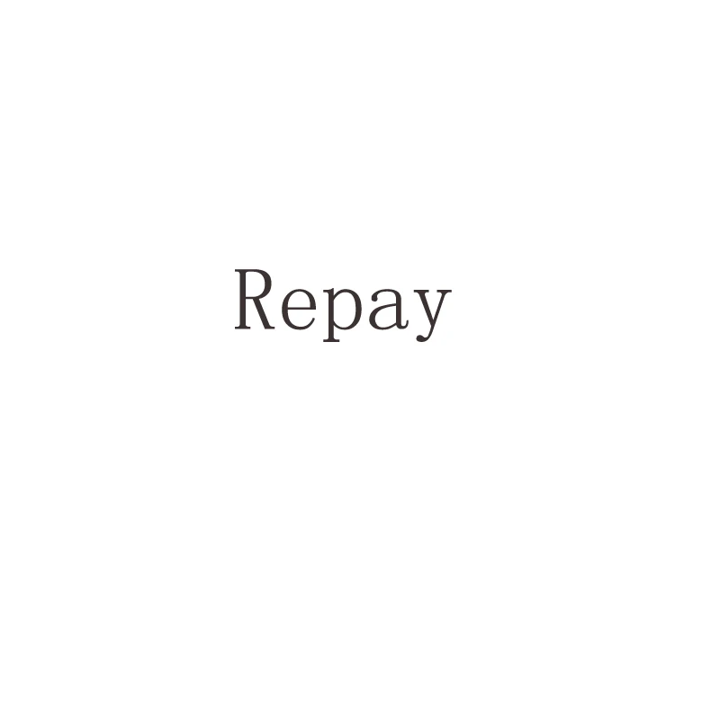 

Repay