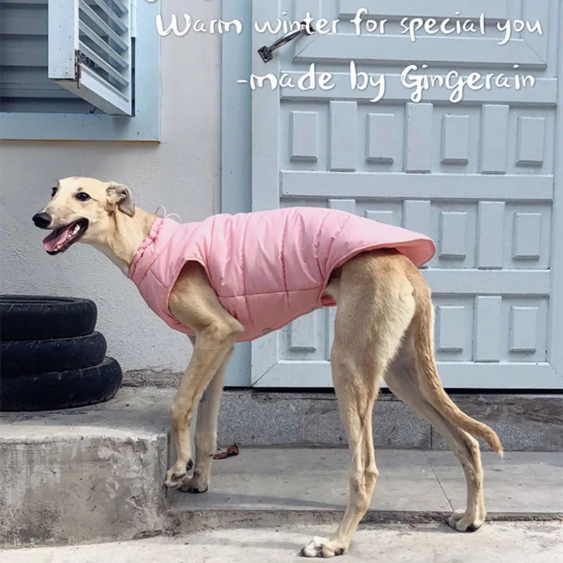 Ropa para perros medianos y grandes, chaleco algodón cálido para invierno, ropa italiana de chaqueta para perros, para perros|Sets para perro| - AliExpress