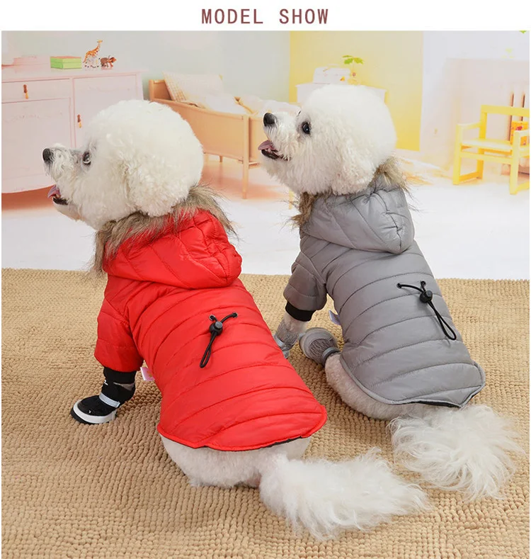 12184477897_1368698927