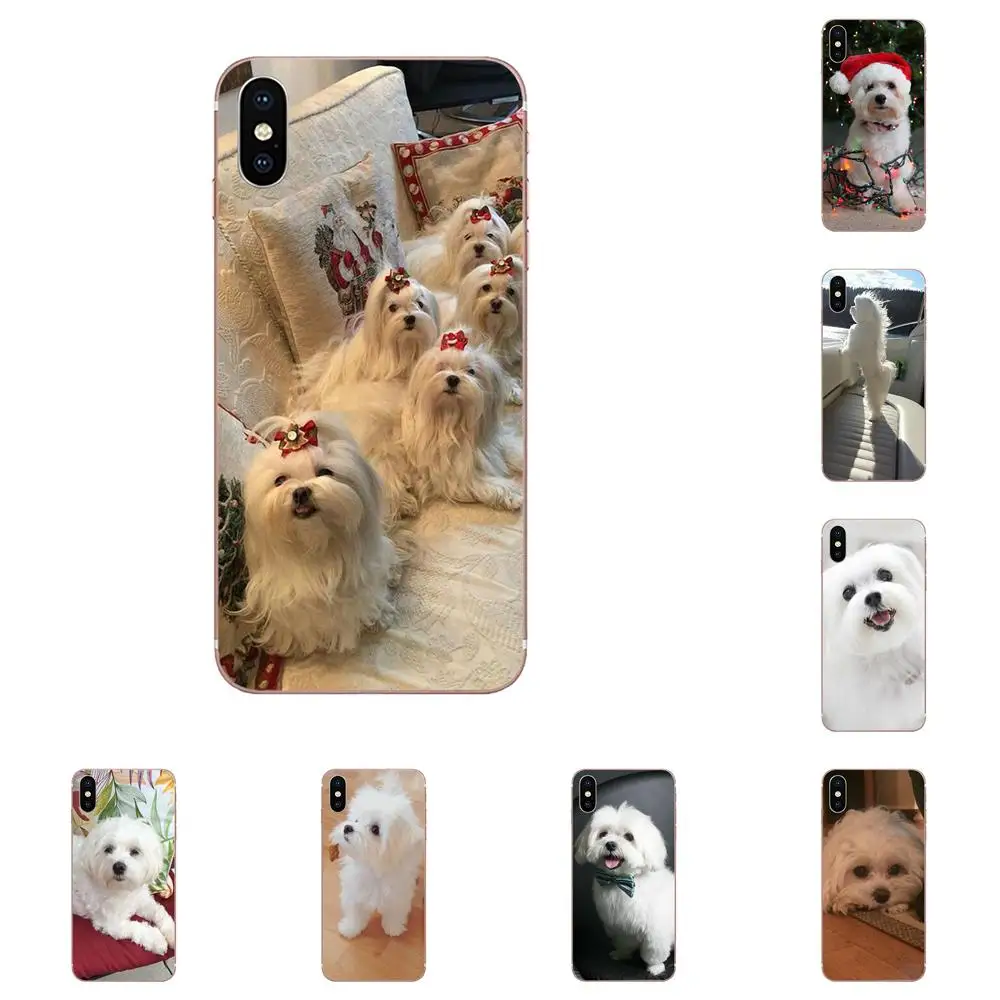 Мальты собаки мягкий чехол для мобильного телефона Huawei Nova 2 V20 Y3II Y5 Y5II Y6 Y6II Y7 Y9 G8 G9 GR3