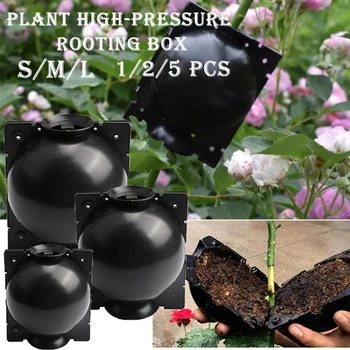 

1/2/5pc Grafting Rooting Growing Box Plant Rooting Ball Breeding Case for Garden Plant high-pressure propagation box