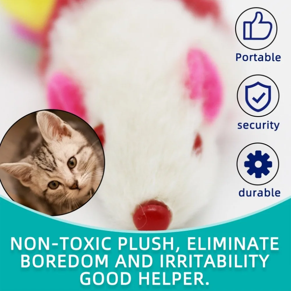 YY3381500-C-20190629-1