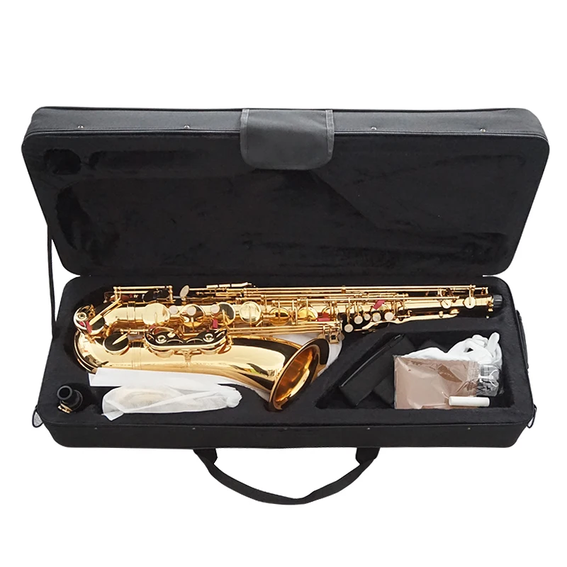 

LADE Brass Engraved Eb E-Flat Alto Saxophone Sax Abalone Shell Buttons with Case Gloves Cleaning Cloth Grease Belt Brush