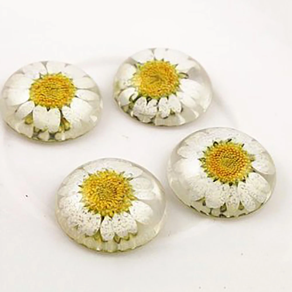 

New Fashion 5pcs 25mm Natural Dried Flowers Flat Back Resin Cabochons Cameo G3-17