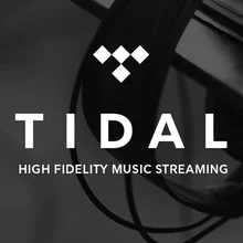 12 месяцев гарантии на 1 год Tidal HIFI Премиум подписка работа на ПК смарт-ТВ приставки Android IOS планшеты ПК
