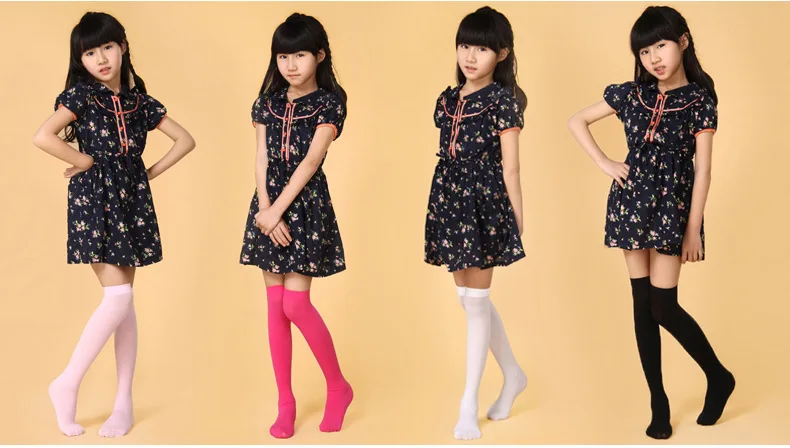 803f28258e116e032f645d55e28dbc31