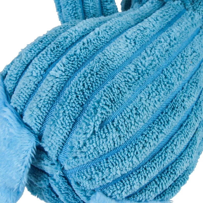 10531673706_906868034