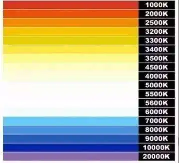 100 шт., оборудование для пчеловодства, инструмент, отличное качество, устойчивость к окислению, нетоксичный Ловец, бутылочка для кормления, пластиковый маркер, инструмент