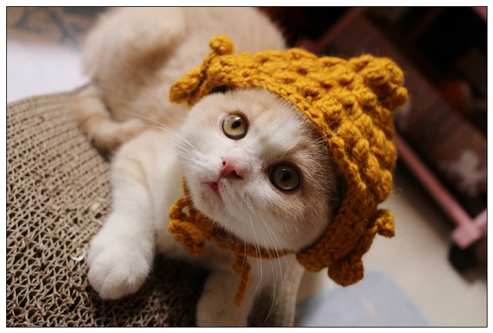 Шапка Будды, кошка, вязаная шапка, милый головной убор для домашних животных, товары для домашних животных, Забавный костюм фурри, модельная шапка для кошек, аксессуары