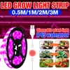 Plant Lamp USB Phyto Growing Light Led Full Spectrum Dimmable Strip Light Led For Indoor Plants Seedlings Flower 0.5M 1M 2M 3M ► Photo 1/6