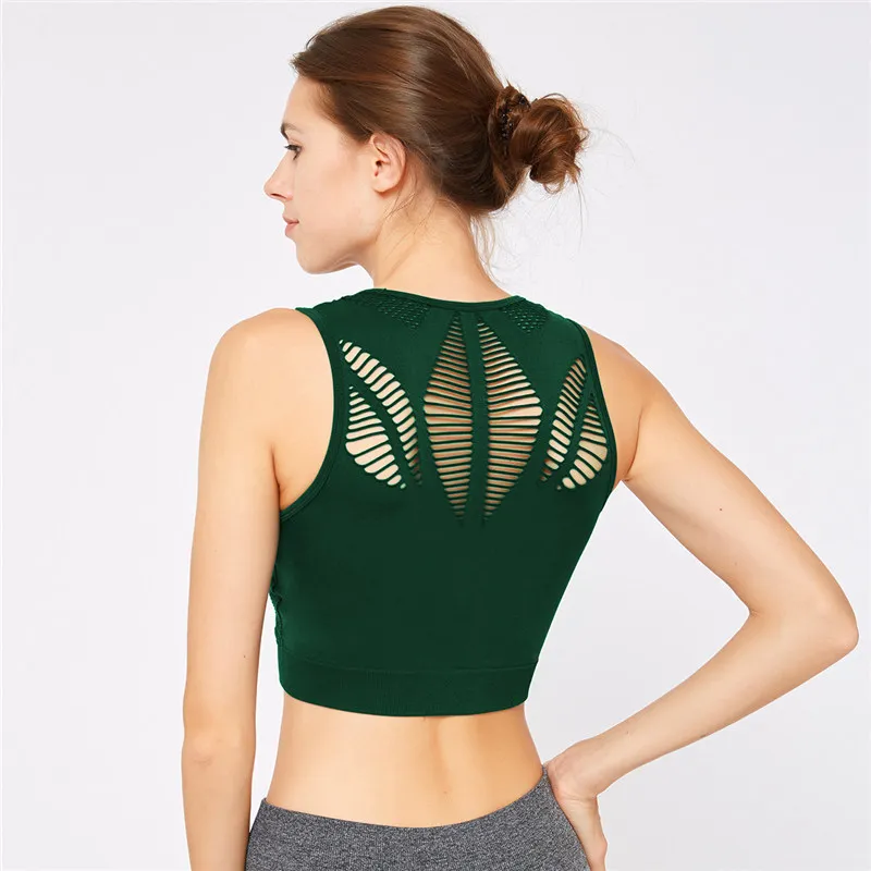 12186406774_2102846652