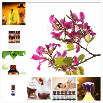 

Dropship 10ML 12 Flavors flower Essential Oil for Diffuser Aromatherapy Magnolia denudata Aroma Oil Help fast Sleep TSLM15