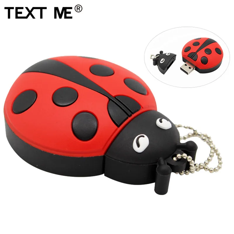 Usb флеш накопитель TEXT ME USB 2 0 4 ГБ 8 16 32 64 ГБ|USB флэш-накопители| |