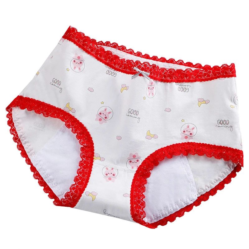 6pcs/lot Period Underwear woman set Leakproof Women's briefs very Abundant Flow Menstrual Panties Cotton sexy lingerie for women