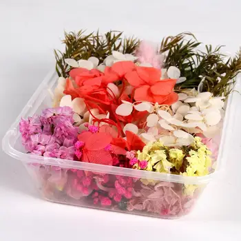 

QIFU 1 Box Real Mix Dried Flower for Resin Candle Epoxy Jewellery Dry Plants Pressed Flowers Making Craft DIY Accessories