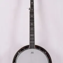 Банджо FBJ-35