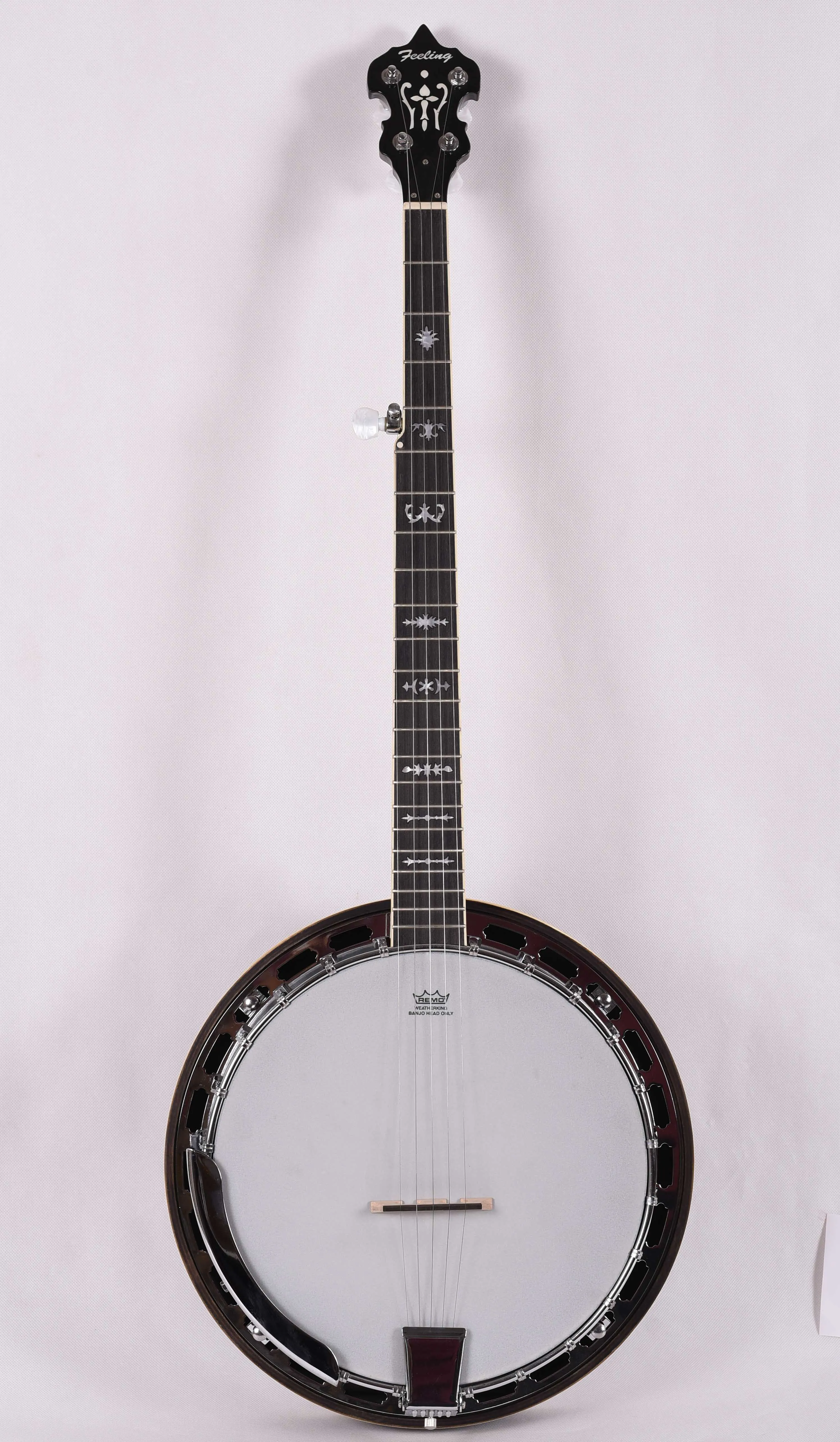 Банджо музыкальный инструмент. Банджо 5 струн. Банджо caraya bj-004. Инструмент банжо банджо. Stagg 5hda.