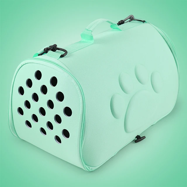 portable reptile carrier