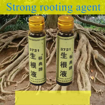 Agente enraizante líquido 3721, fertilizante para trasplante de flores de plantas, para Bonsai, raíz de crecimiento rápido, reguladores de hormonas medicinales, control