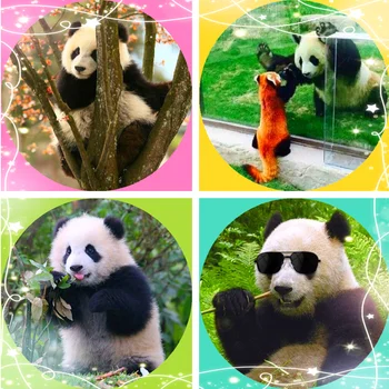 

National Treasure Panda Brooches Badge Anime Cartoon Figure Round Metal Display Brooch Pin Jewelry