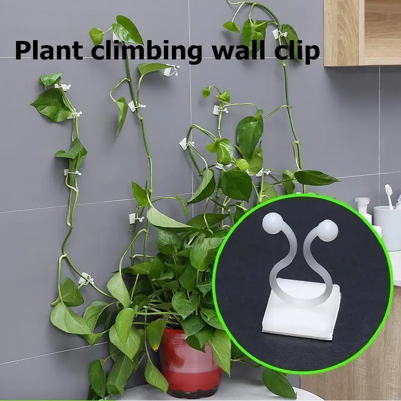 10/30/50PCS Plant Climbing Wall Fastener Tied Fixture Vine Buckle Hook Garden Plant Wall Climbing Vine Clips Fixed Buckle Hook
