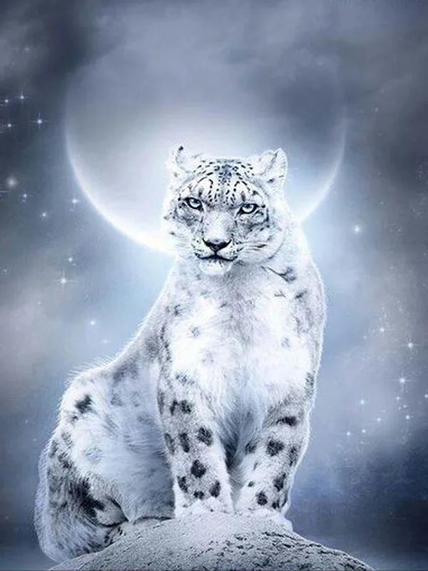50bdeb611048e713902c5b4f8e7e8549--snow-leopard-tattoo-white-leopard