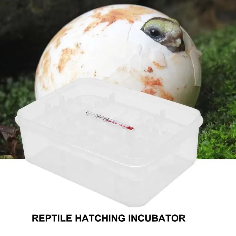 

Practical Plastic 16 Grids Plastic Reptiles Egg Incubator Tray Lizard Snake Eggs Hatcher Box Incubation Tool Terrariums