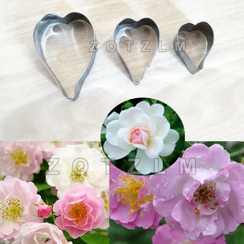 3 шт./лот, Rosa, мультифлора, лепесток, нержавеющая сталь, формочки для печенья, серия цветов, помадка, форма для печенья, инструменты для украшения торта, JSM058