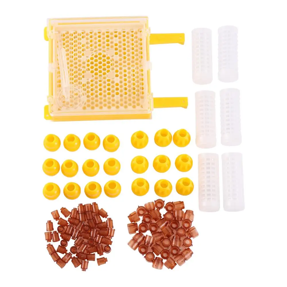 Queen Rearing Box Bee Breeding Kit Beekeeping Tool Kit Queen Cell Complete Queen Rearing Kit Beekeeping Rearing System 1 Set
