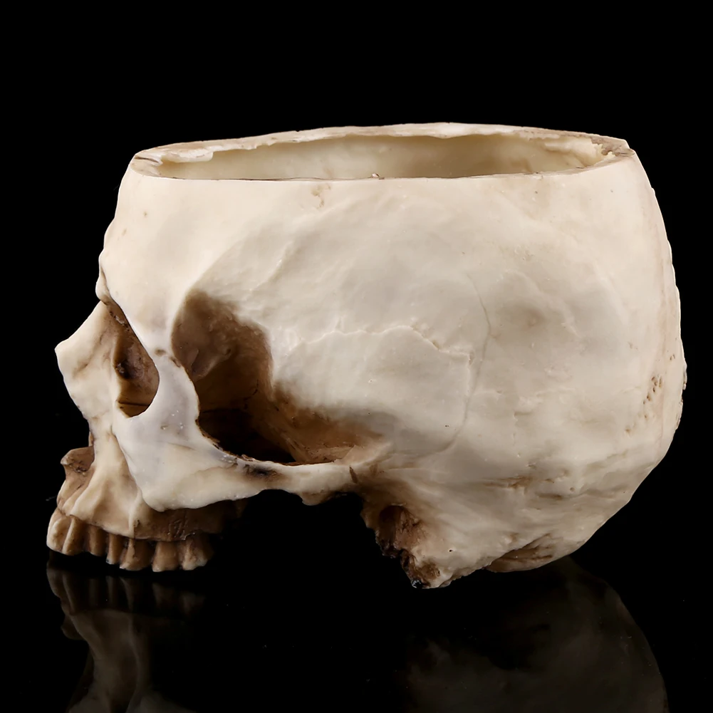 Skull Head Planter Human Skull Head Design Flower Pot Container Antique Sculpture Planter Home Decor Gift for Christmas