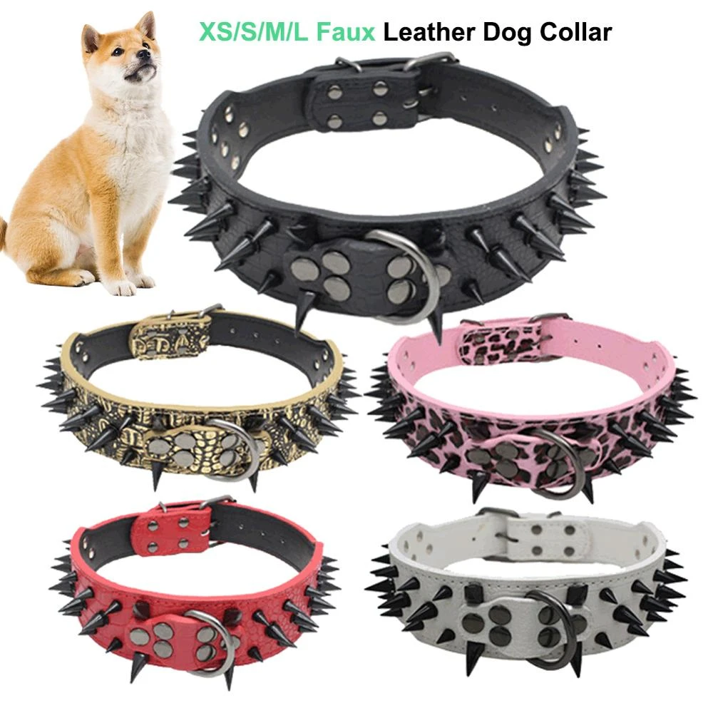 Puppy neck band Clearance